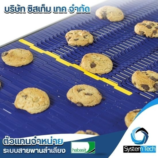 Plastic Modular - ตัวแทนจำหน่ายสายพานลำเลียง - Systemtech.